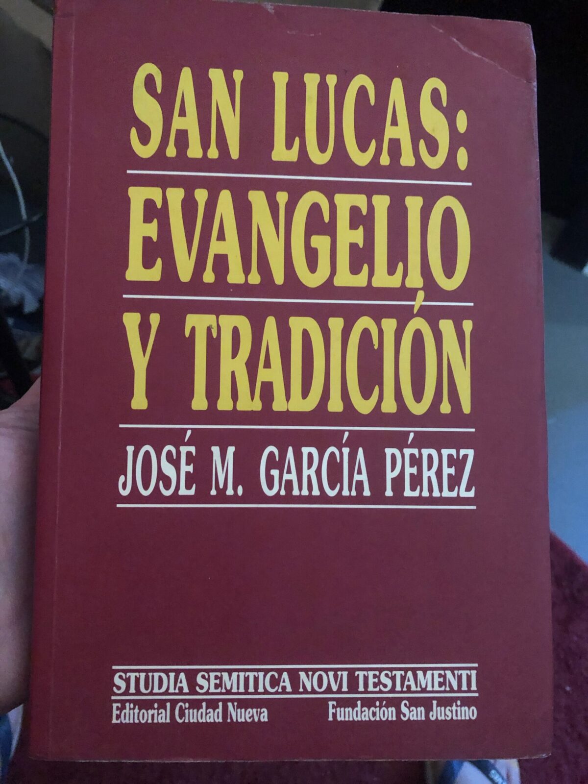 San Lucas, Evangelio y Tradición - Imagem 1